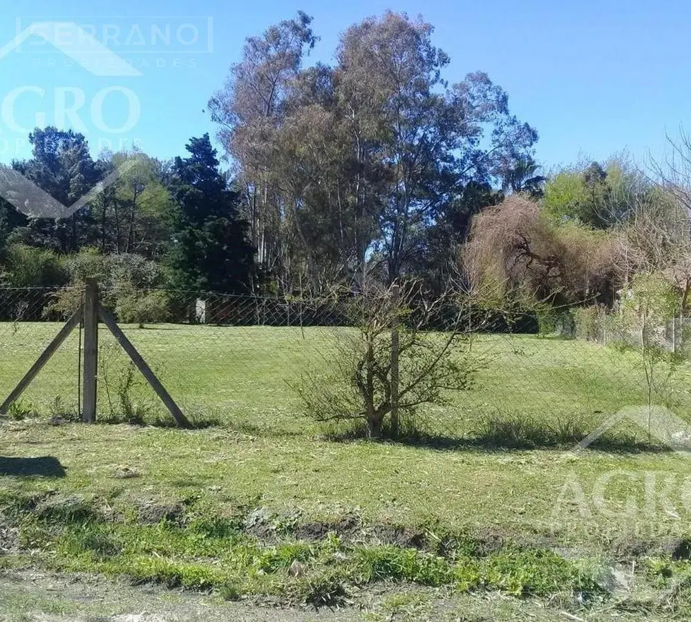 VentaTerreno 1300 m2, Parque Sakura, calle Saavedra al 300, Exaltación de la Cruz 4
