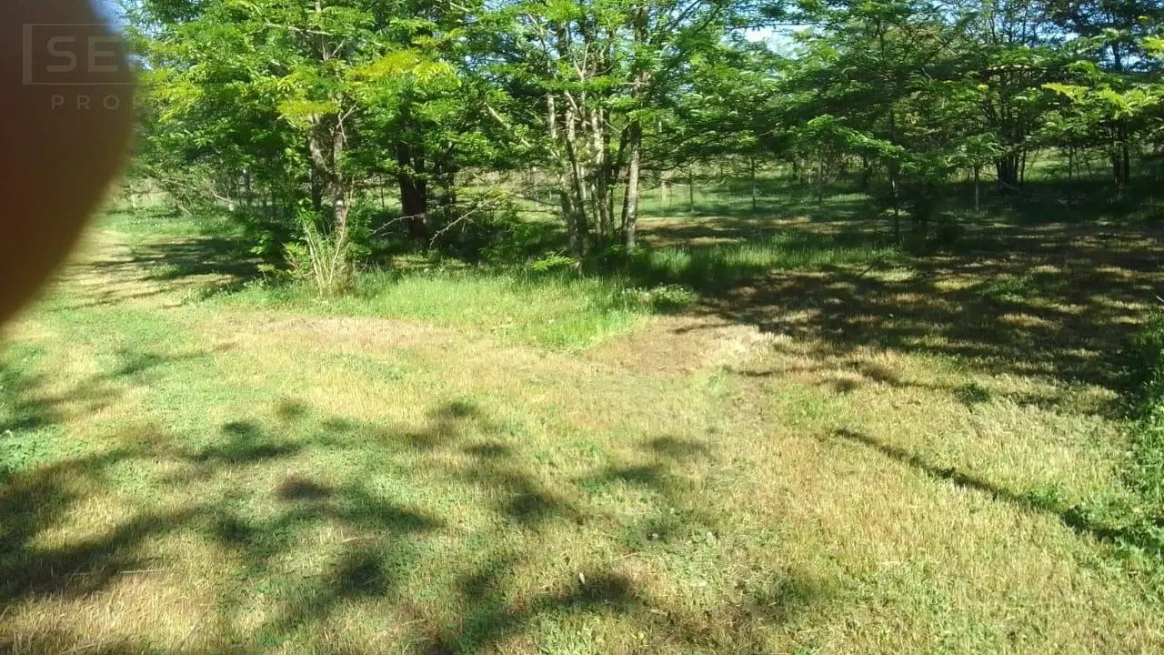 Venta lote de 5200m2 en Etchegoyen, Ruta 6 km 169, Exaltación de la Cruz 3