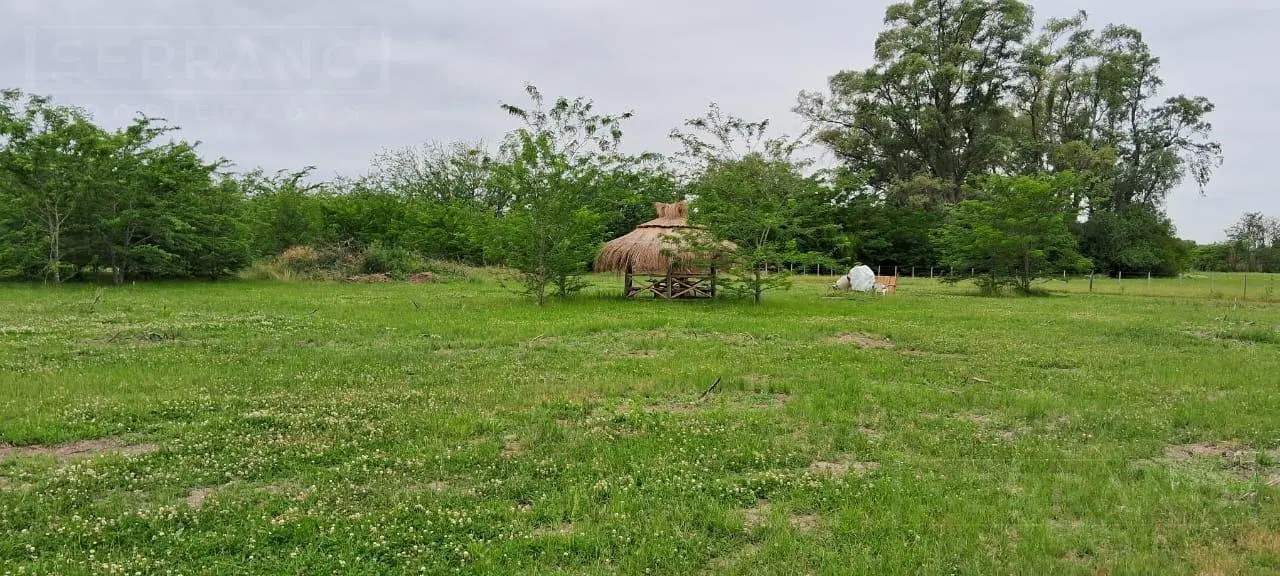 Venta lote de 5200m2 en Etchegoyen, Ruta 6 km 169, Exaltación de la Cruz 4
