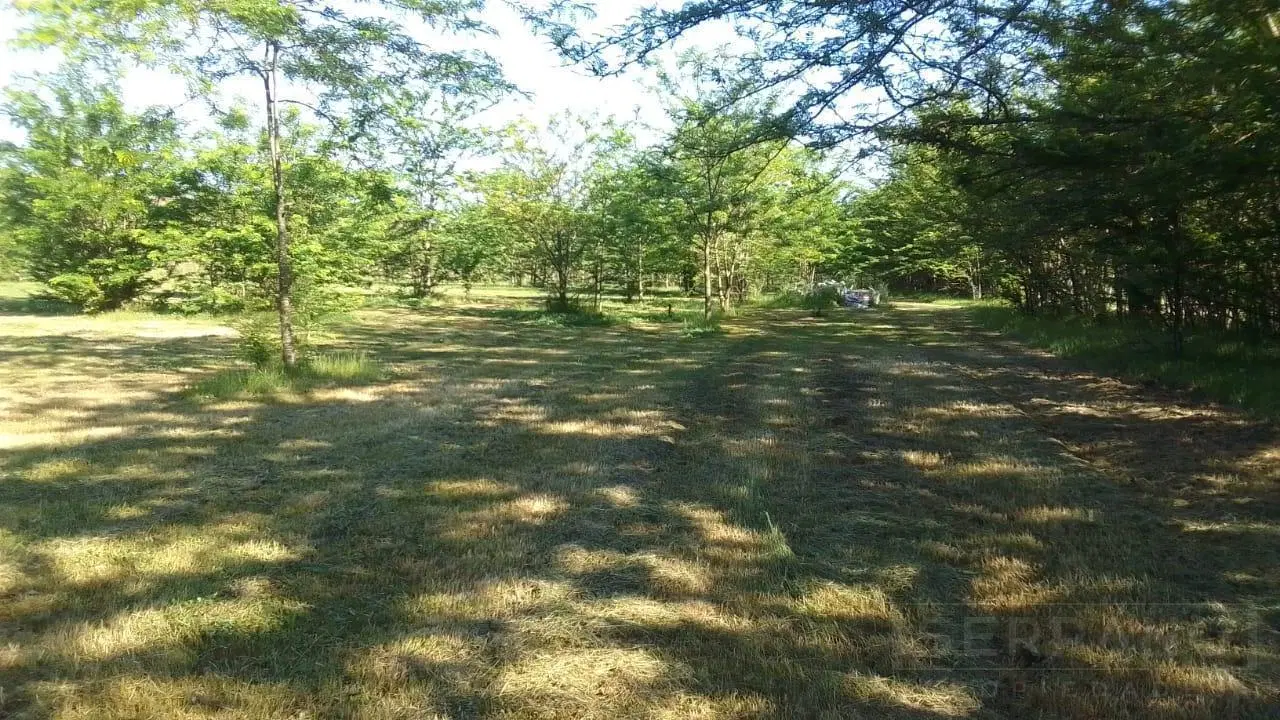Venta lote de 5200m2 en Etchegoyen, Ruta 6 km 169, Exaltación de la Cruz 2