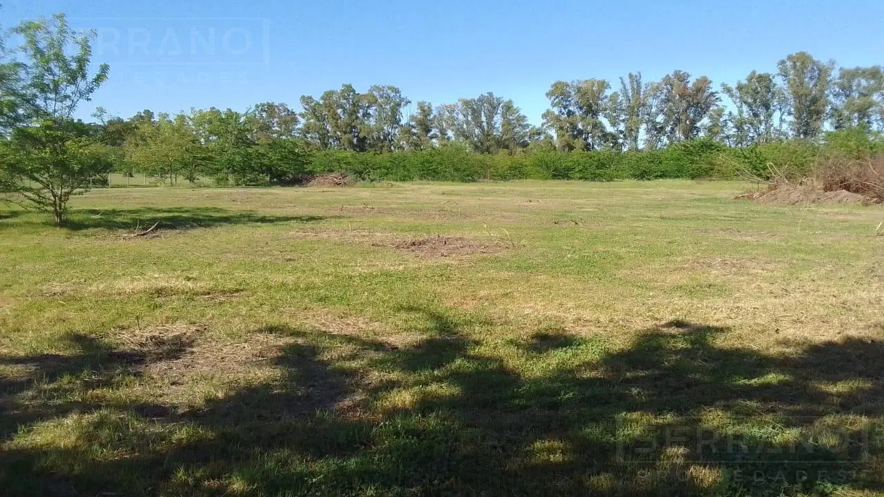 Venta lote de 5200m2 en Etchegoyen, Ruta 6 km 169, Exaltación de la Cruz 5