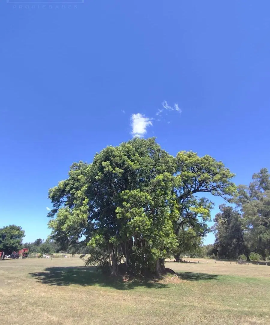Lote de Terreno de 1200 m2 en Venta en el Club de Campo Los Palenques en Manzanares. 5