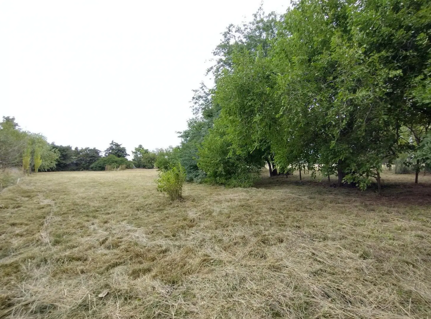Venta. Terreno 3000 M2. Barrio Parque La Verdad. Exaltación de la Cruz 8