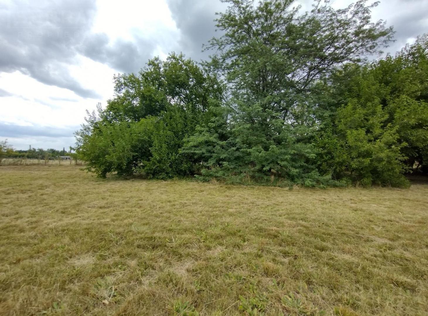 Foto de Venta. Terreno 3000 M2. Barrio Parque La Verdad. Exaltación de la Cruz, imagen 4