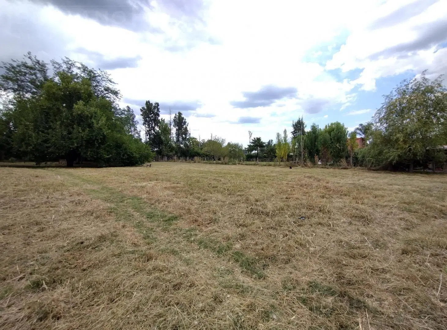 Venta. Terreno 3000 M2. Barrio Parque La Verdad. Exaltación de la Cruz 1