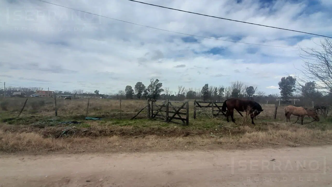 Venta de 1 Hectárea en Carabassa, Pilar. Estancias del Pilar 3