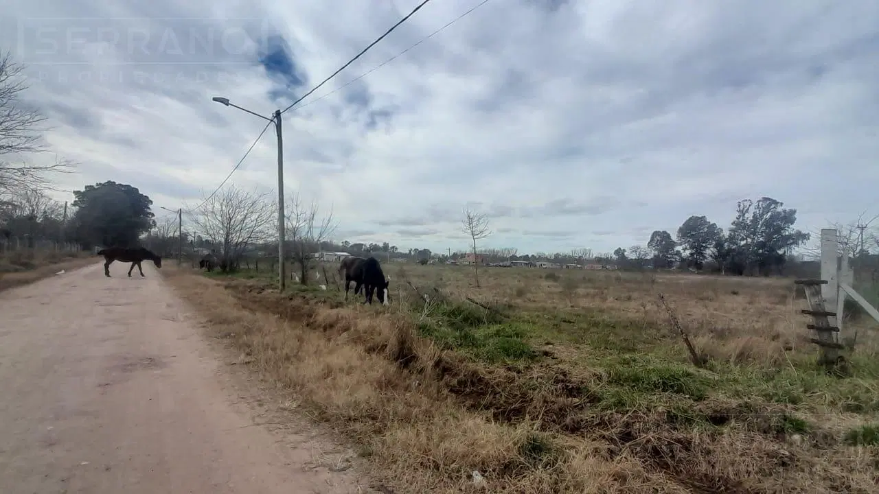 Venta de 1 Hectárea en Carabassa, Pilar. Estancias del Pilar 8