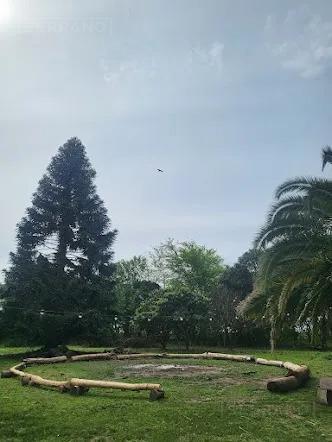Foto de Venta Campo 40 Ha en Lima Zarate, imagen 3