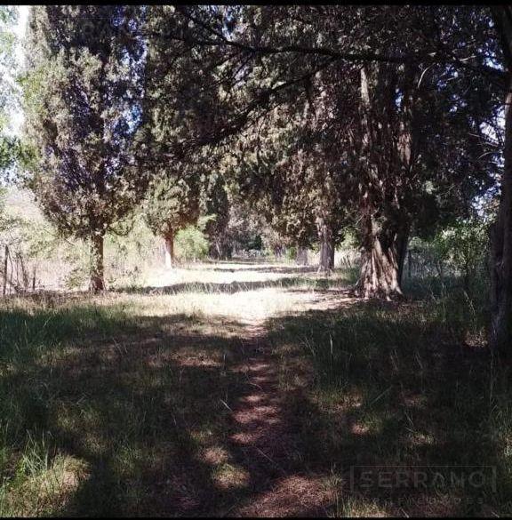 Foto de Venta Campo 7has apto loteo en el Barrio El Cazador, Escobar, imagen 2