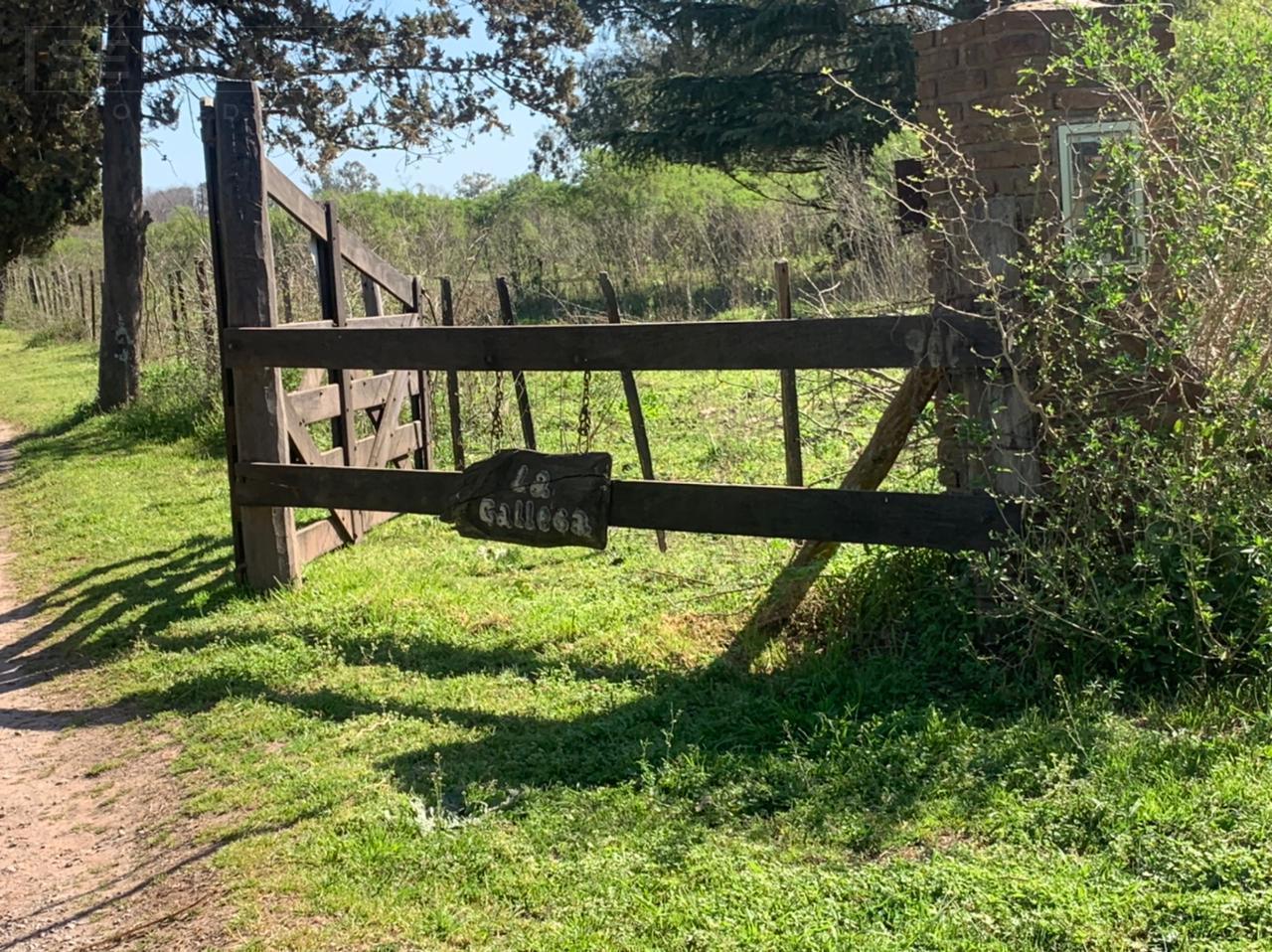 Foto de Venta Campo 7has apto loteo en el Barrio El Cazador, Escobar, imagen 1