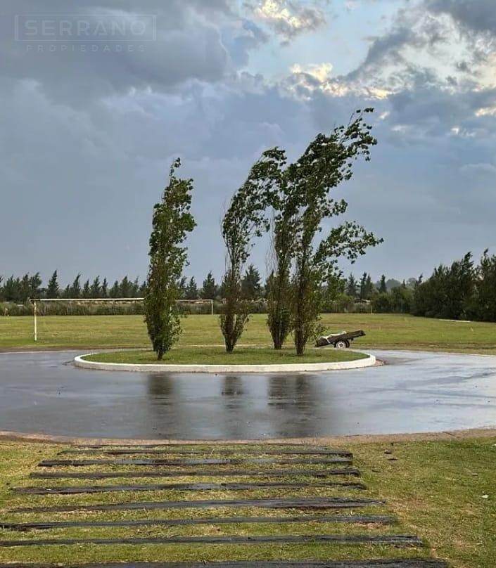 Foto de Lote en venta a la laguna, imagen 3
