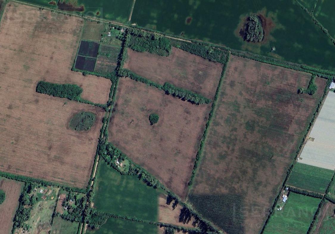 Foto de Venta campo agrícola ganadero con mejoras de 32 has. Zarate, imagen 3