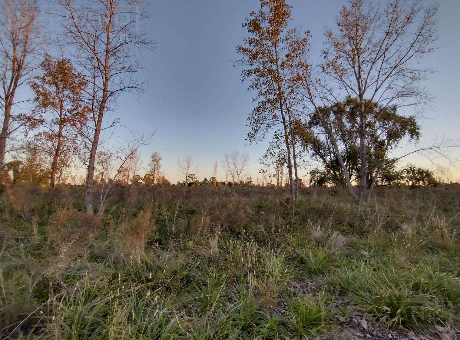 Foto de Venta. Lote 800 m2. Sobre Asfalto. Molino Blanco. Exaltación de la Cruz, imagen 1