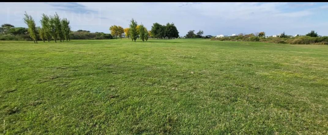 Foto de Venta Terreno de 980 m2 al golf en Haras Santa Maria, Escobar, imagen 5