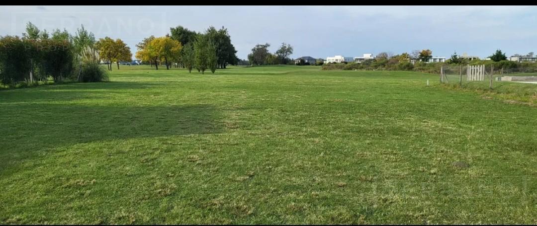 Foto de Venta Terreno de 980 m2 al golf en Haras Santa Maria, Escobar, imagen 1