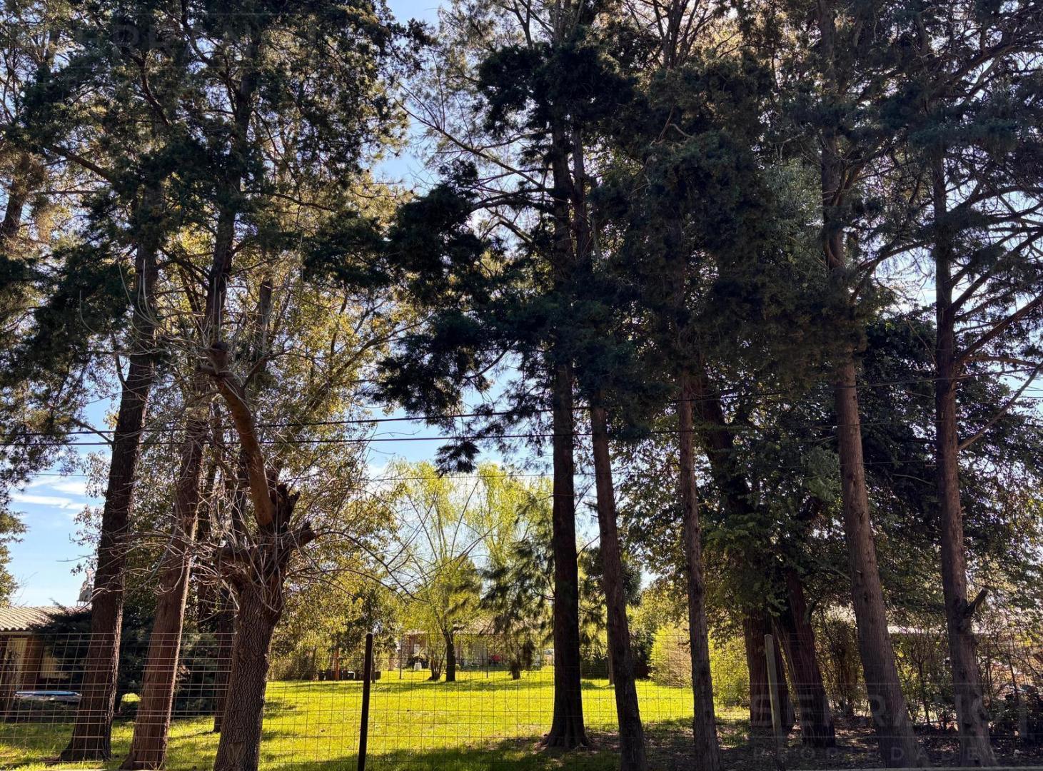 Foto de Terreno en venta 760m2 con mejoras, Barrio abierto Parque Sakura, imagen 3