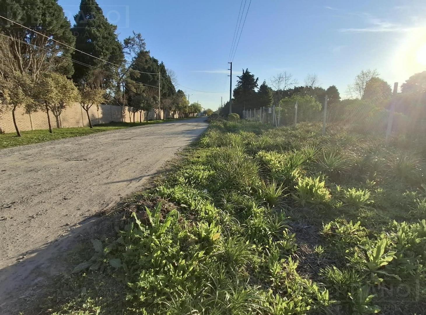 Foto de Terreno en venta 4400mts en Fatima Pilar, imagen 5
