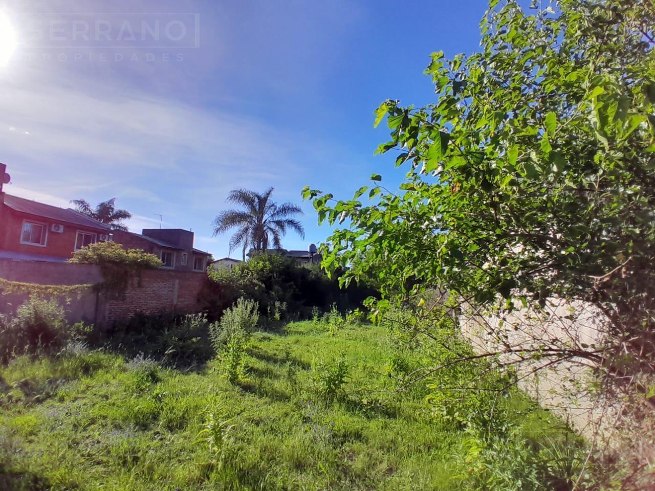 Foto de Venta amplio terreno con excelente ubicacion en el centro de Escobar, imagen 4