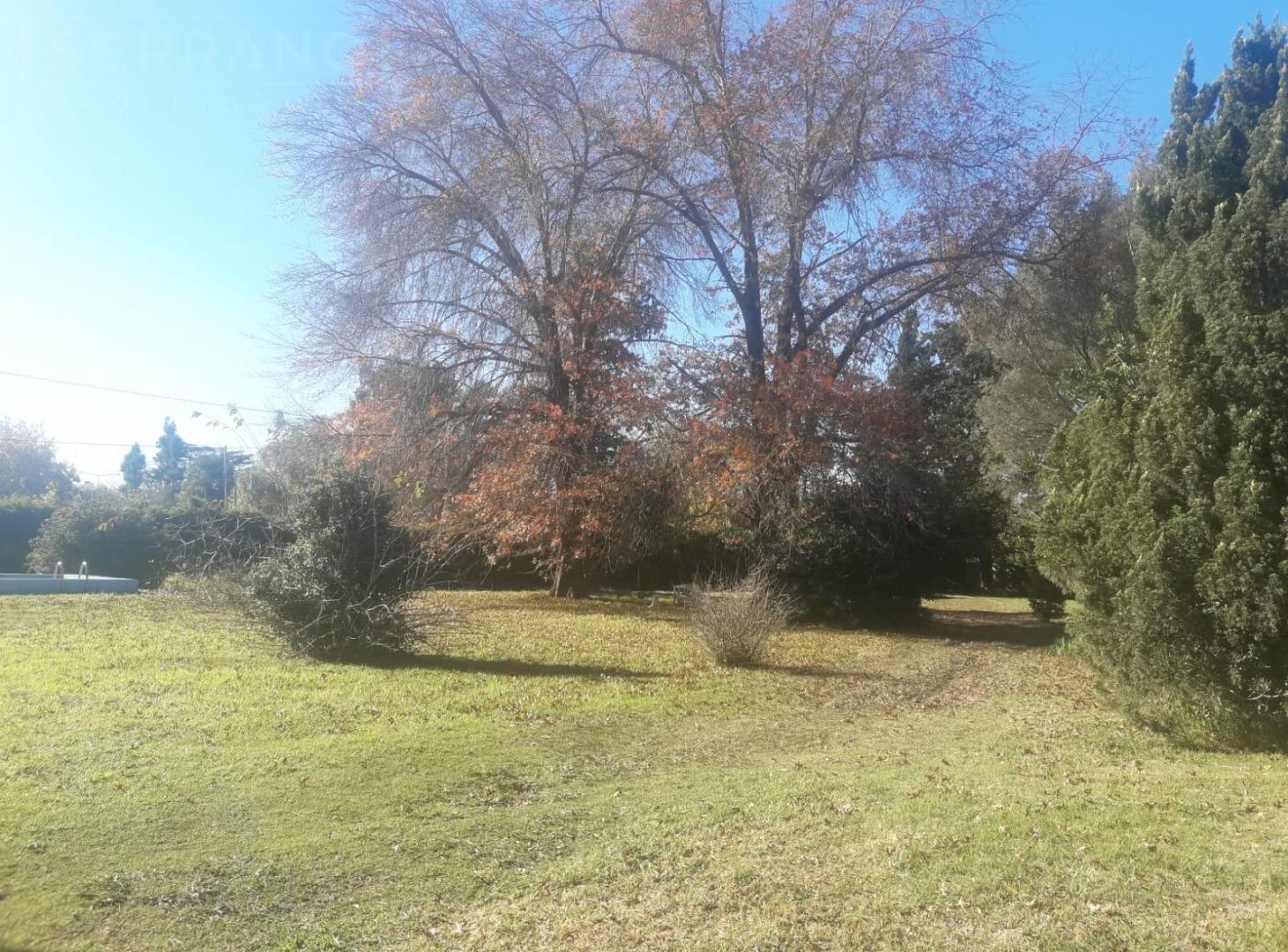 Foto de Venta Casa Quinta de 4 amb con amplio terreno en Loma Verde, imagen 2