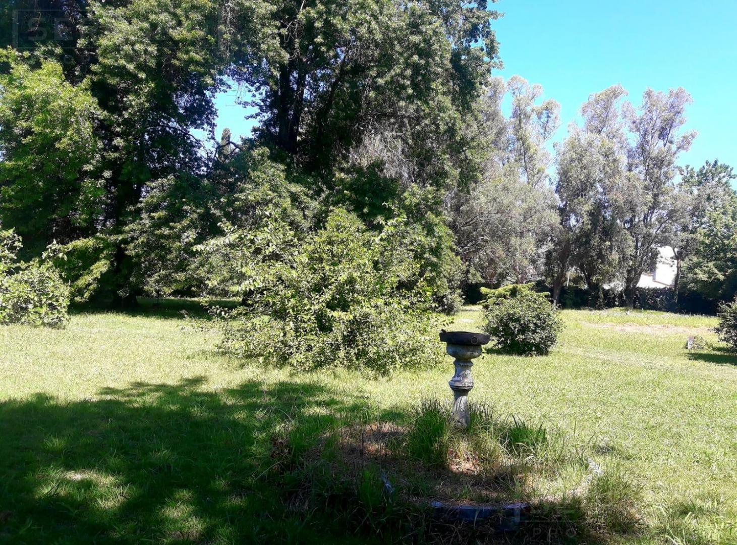 Foto de Venta Casa Quinta de 4 amb con amplio terreno en Loma Verde, imagen 5