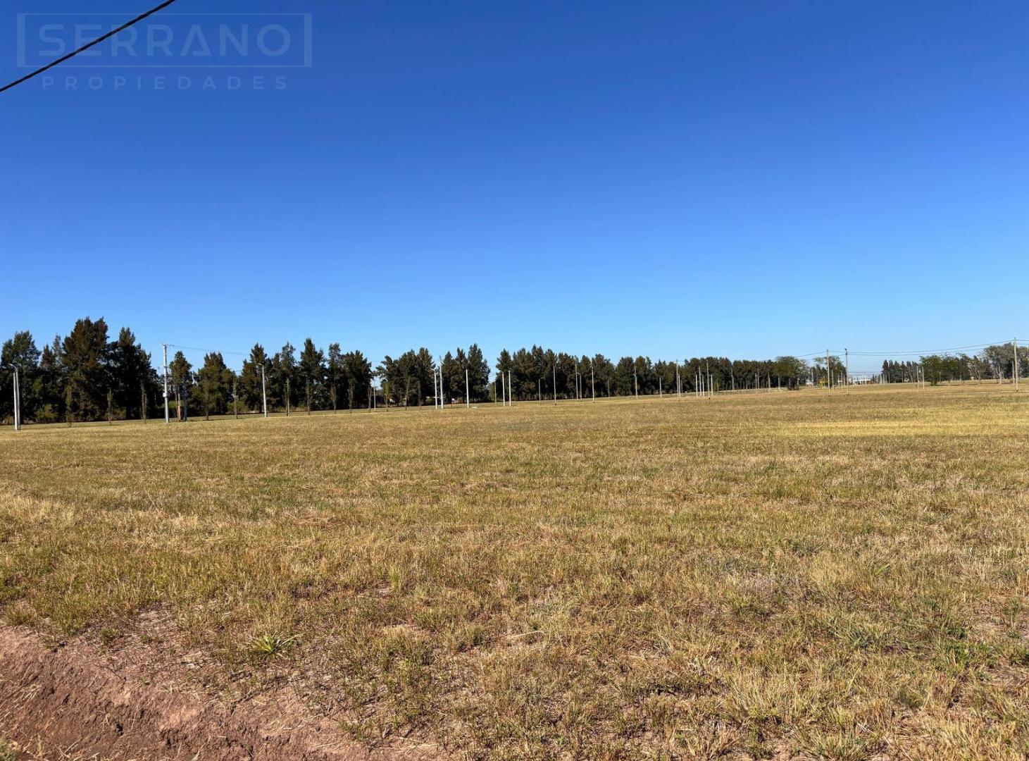 Foto de Terreno en venta 1000m2, barrio abierto Praderas 2 de Los Cardales con, imagen 4