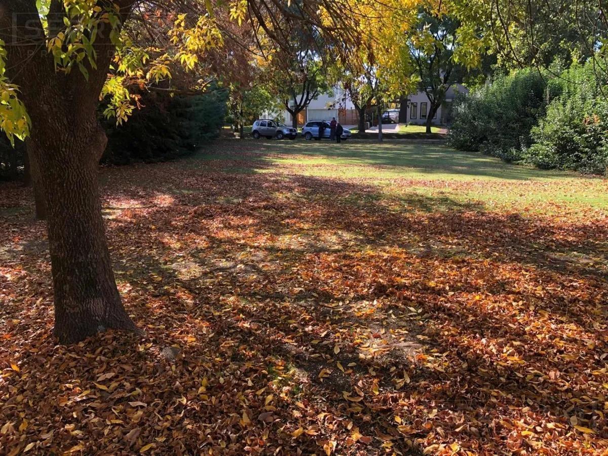 Foto de Venta terreno oportunidad en Barrio Alamo Alto, imagen 4