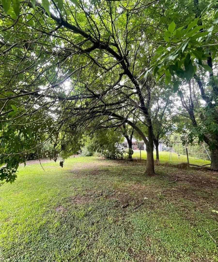 Foto de Venta terreno oportunidad en Barrio Alamo Alto, imagen 2