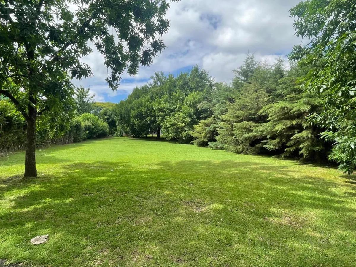 Foto de Venta terreno oportunidad en Barrio Alamo Alto, imagen 1