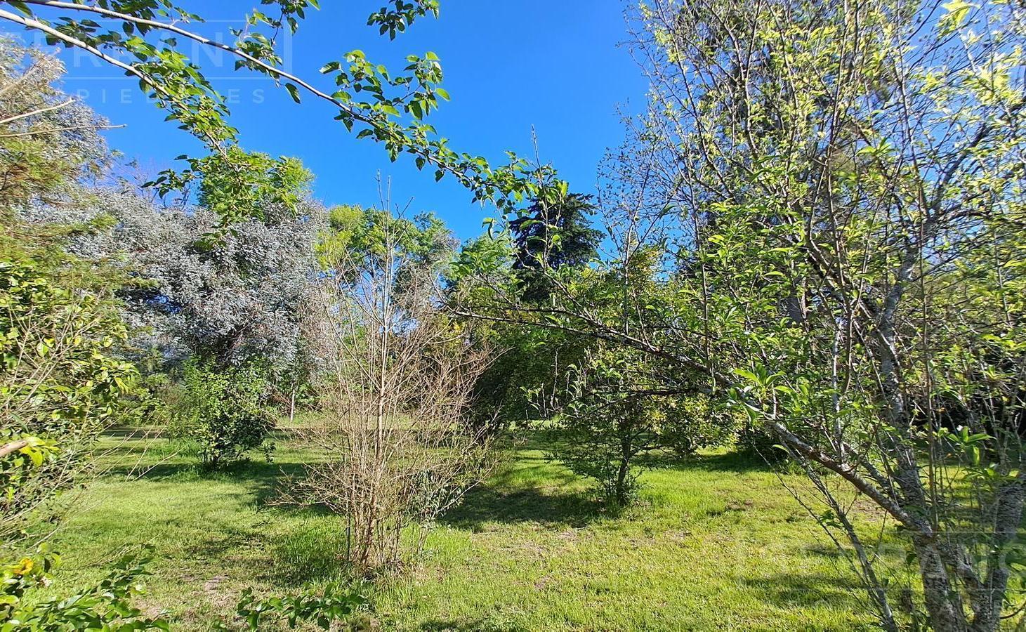 Foto de Venta. Lote Terreno 1592 M2. Barrio Parque El Remanso. Exaltación de la, imagen 4