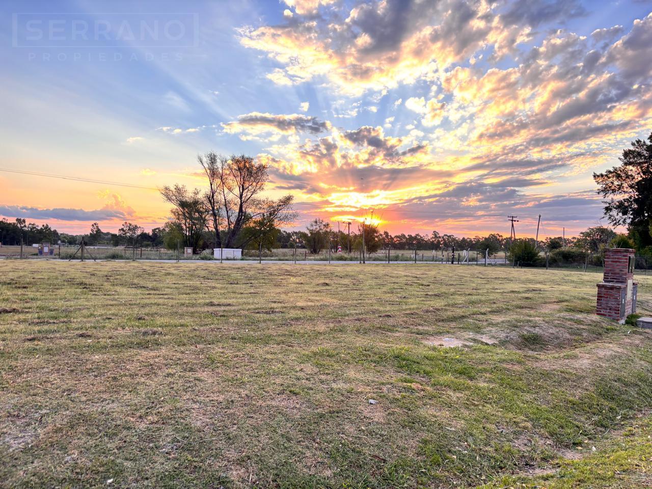 Foto de Terreno en venta, barrio cerrado Matisse, Los Cardales, imagen 5