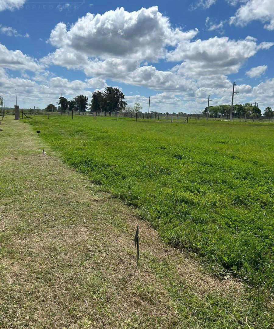 Foto de Venta lote, con posibilidad de financiación, 360m2, Barrio el, imagen 5