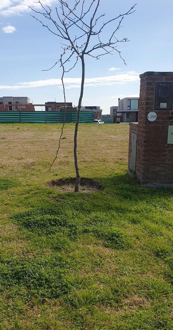 Foto de Venta lote 625m2 en Riberas, Puertos. Escobar, imagen 1