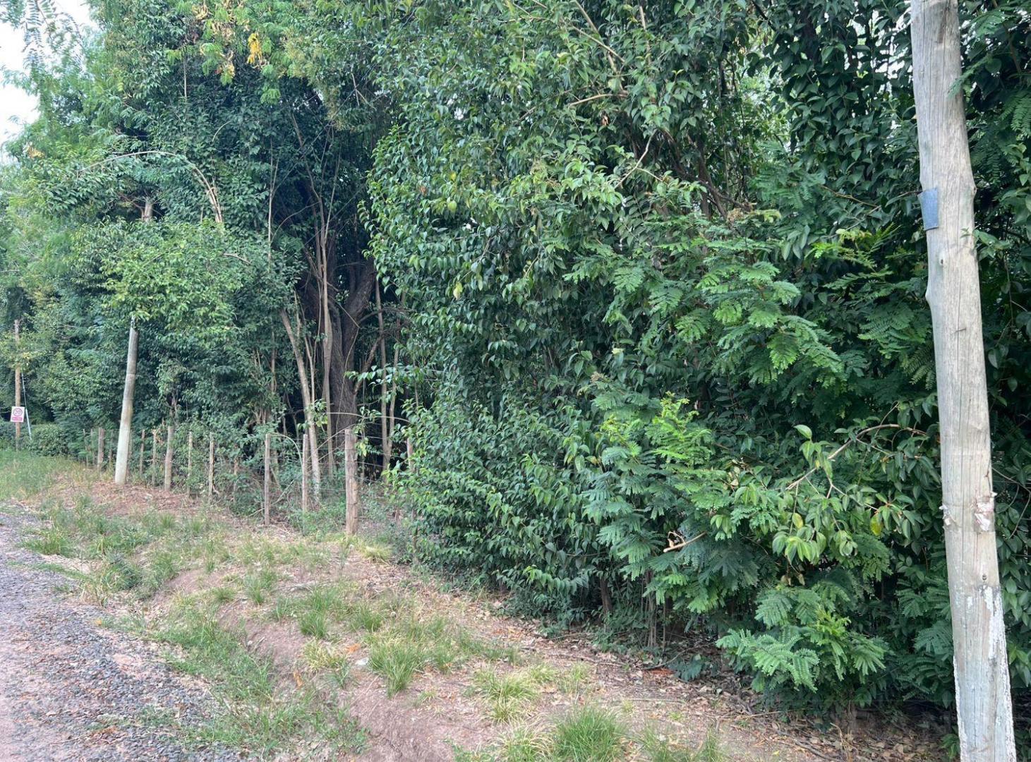 Foto de Terreno en Manzanares Pilar, imagen 4