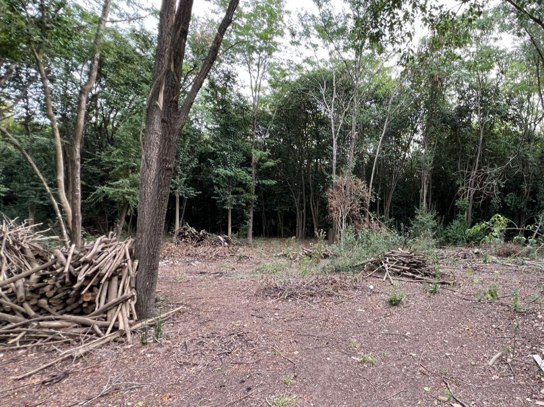 Foto de Terreno en Manzanares Pilar, imagen 3