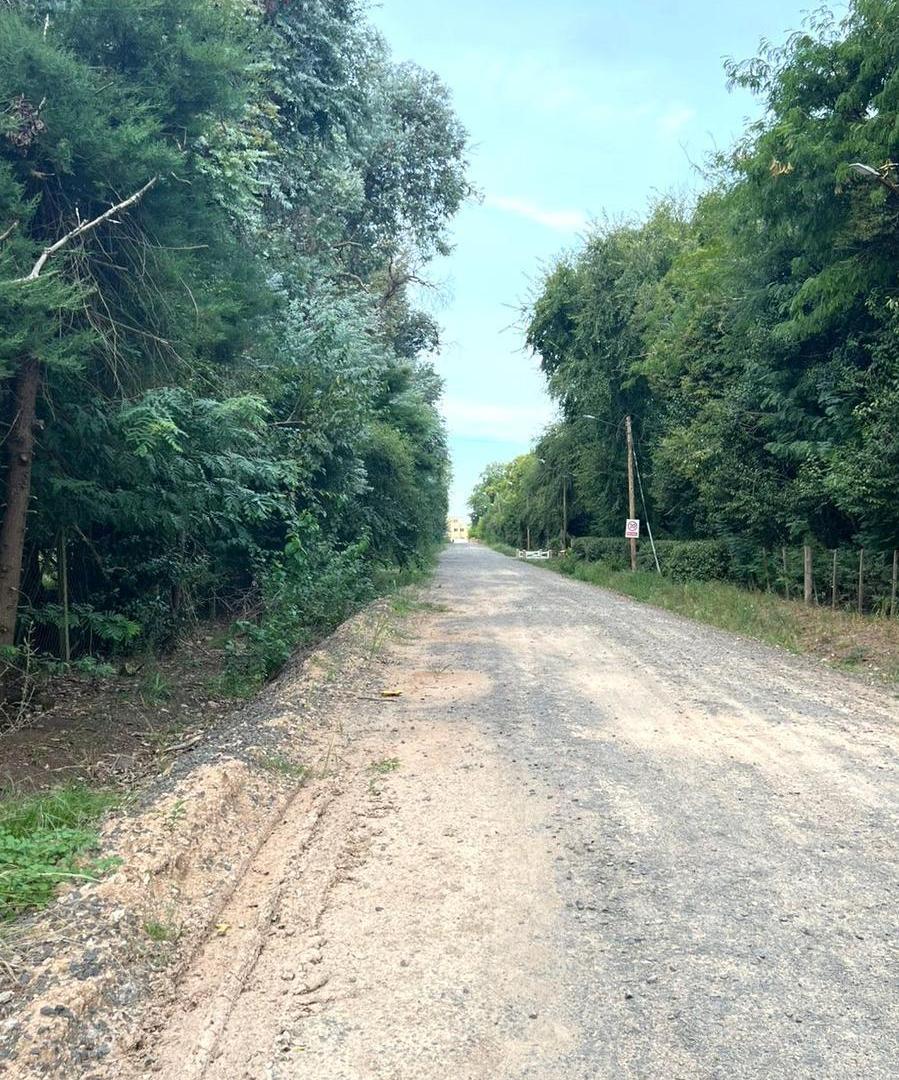 Foto de Terreno en Manzanares Pilar, imagen 2