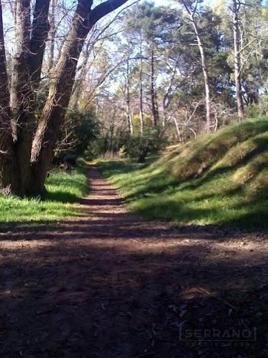 Foto de Terreno Fracción, imagen 4