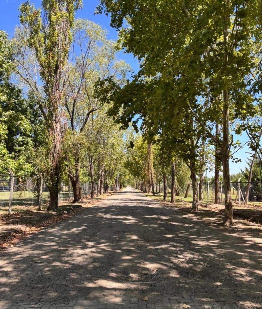 Foto de Terreno en venta, Barrio Cerrado El Cardal de Los Cardales III. CON, imagen 4
