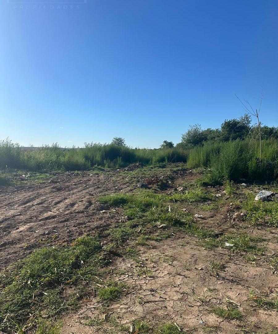 Foto de Venta campo 7.917 m2 en Las Toscas Loma Verde. Escobar, imagen 4