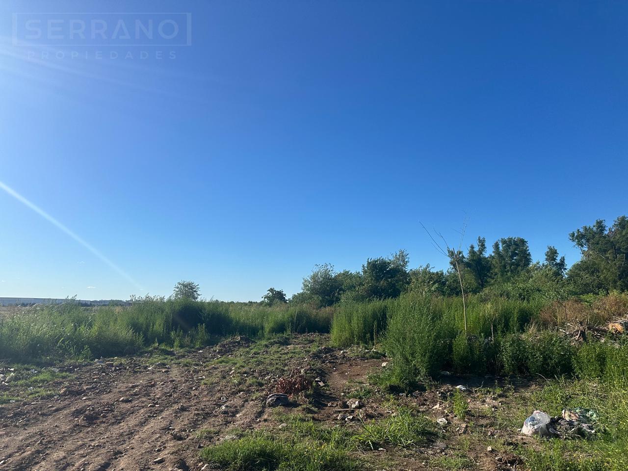 Foto de Venta campo 7.917 m2 en Las Toscas Loma Verde. Escobar, imagen 3