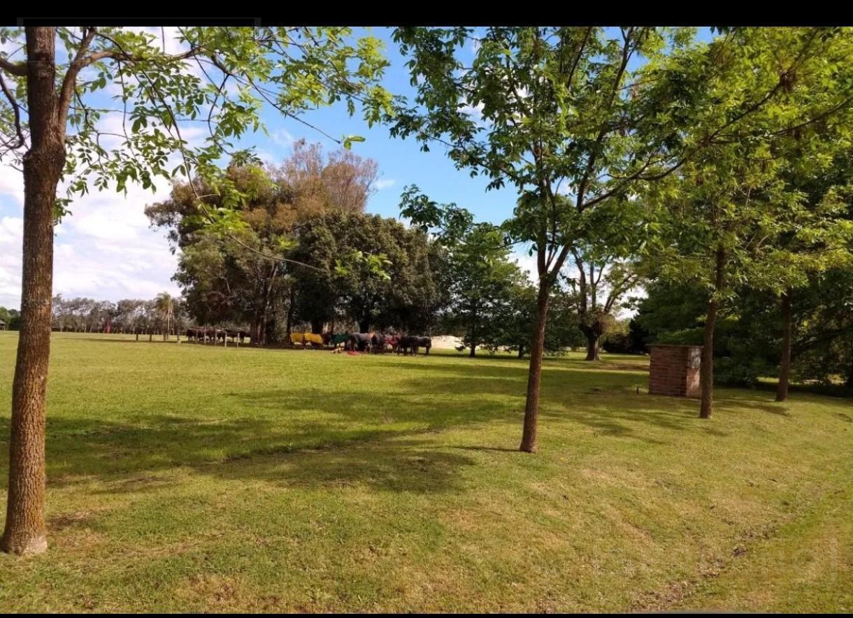 Foto de Terreno en La Cañada Polo Club, imagen 3
