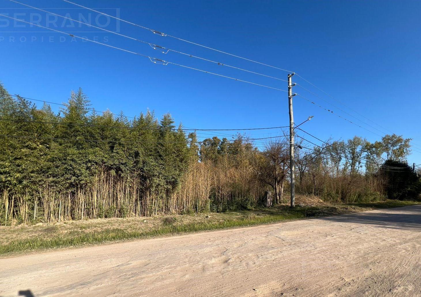 Foto de Terreno en Villa Rosa Zona Industrial Pilar Ruta 25, imagen 3