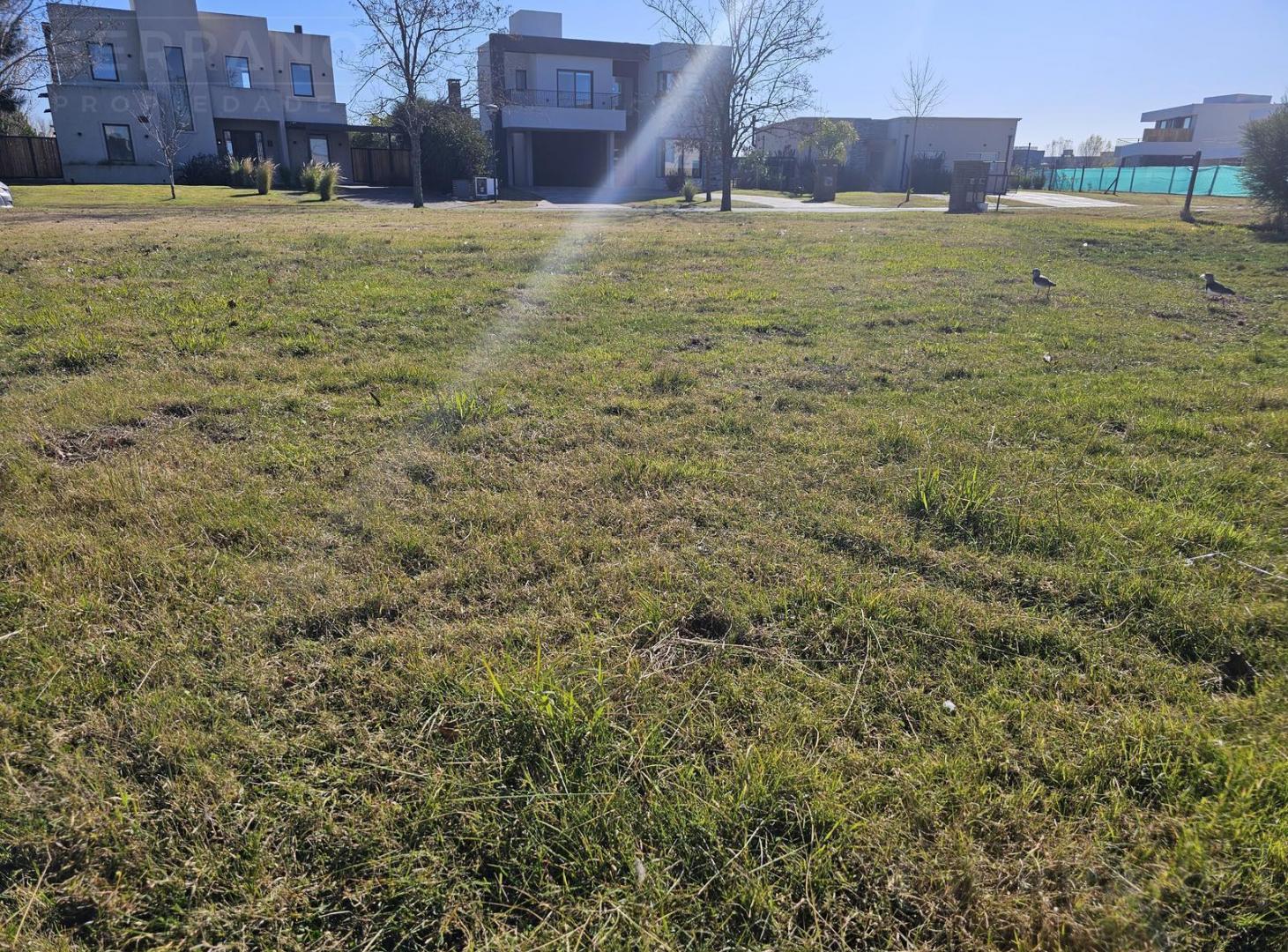Foto de Terreno interno en venta el barrio El Canton / Escobar, imagen 5