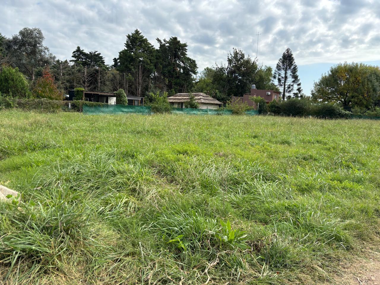 Foto de Venta lote en Parque Sakura, Exaltacion de la Cruz, imagen 3