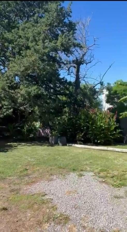 Foto de Venta de quinta de 5.000 mtrs sobre ruta 8 PILAR. Zona IAE AUSTRAL., imagen 5
