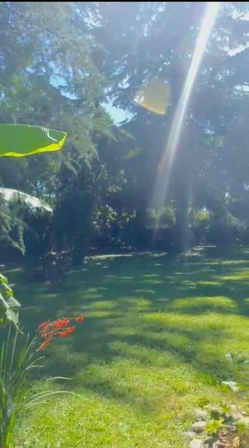 Foto de Venta de quinta de 5.000 mtrs sobre ruta 8 PILAR. Zona IAE AUSTRAL., imagen 3