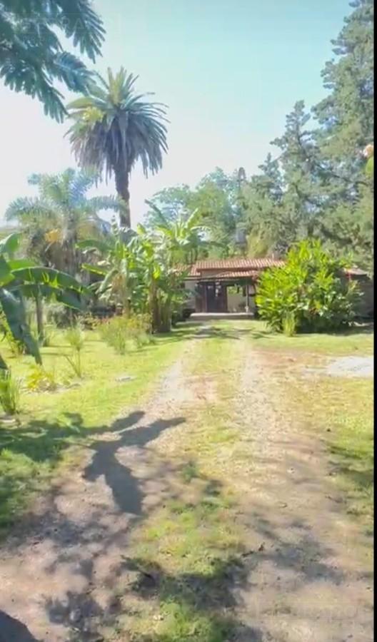 Foto de Venta de quinta de 5.000 mtrs sobre ruta 8 PILAR. Zona IAE AUSTRAL., imagen 2