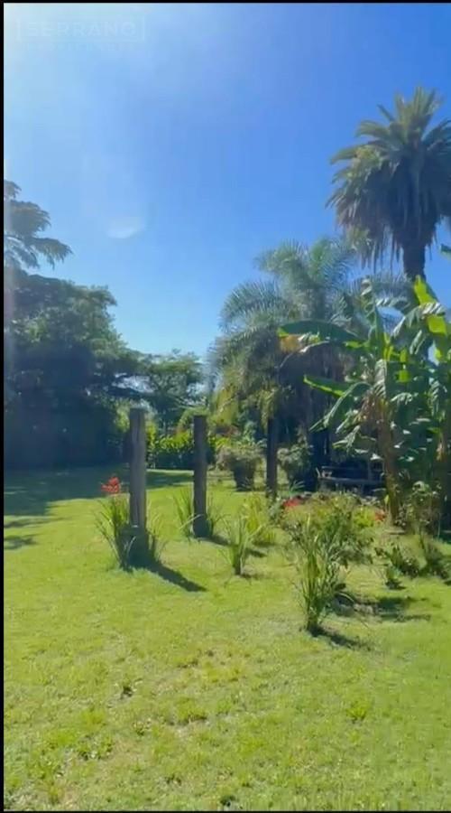 Foto de Venta de quinta de 5.000 mtrs sobre ruta 8 PILAR. Zona IAE AUSTRAL., imagen 4
