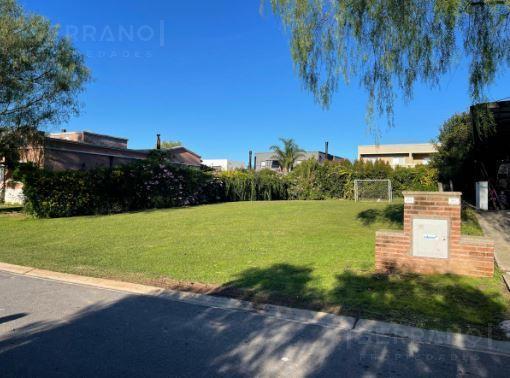 Foto de Terreno en venta en Alvear de Benavidez, imagen 2