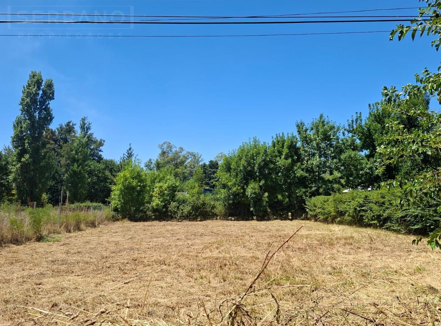 Foto de Venta Terreno de 740 m2 en Parque Sakura, Exaltación de la Cruz, imagen 3