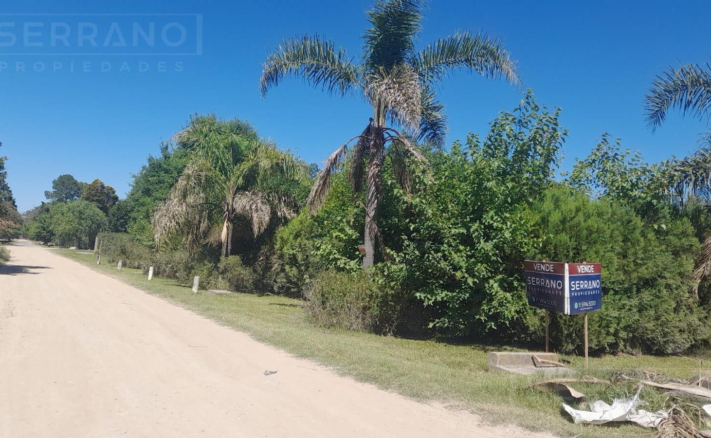 Foto de Venta de Terreno con mejoras 706,38 m2, calle Moreno al 600, parque, imagen 1